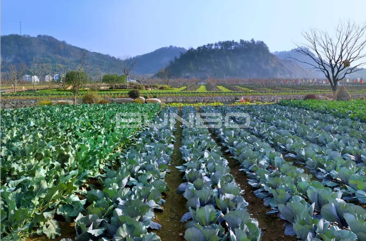 绿城宋卫平“理想小镇”样板农庄