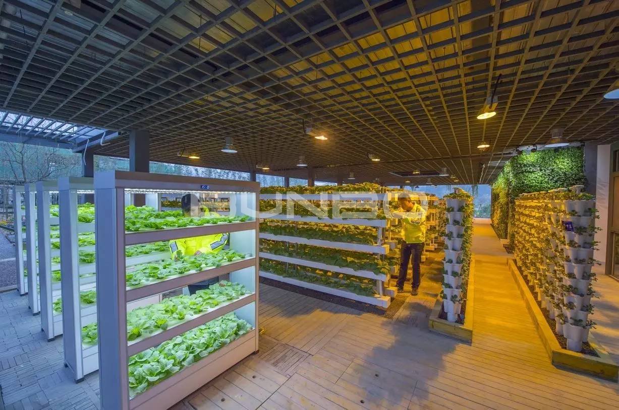 蓝城农业的一线技术员——90后情侣小娜和小锋