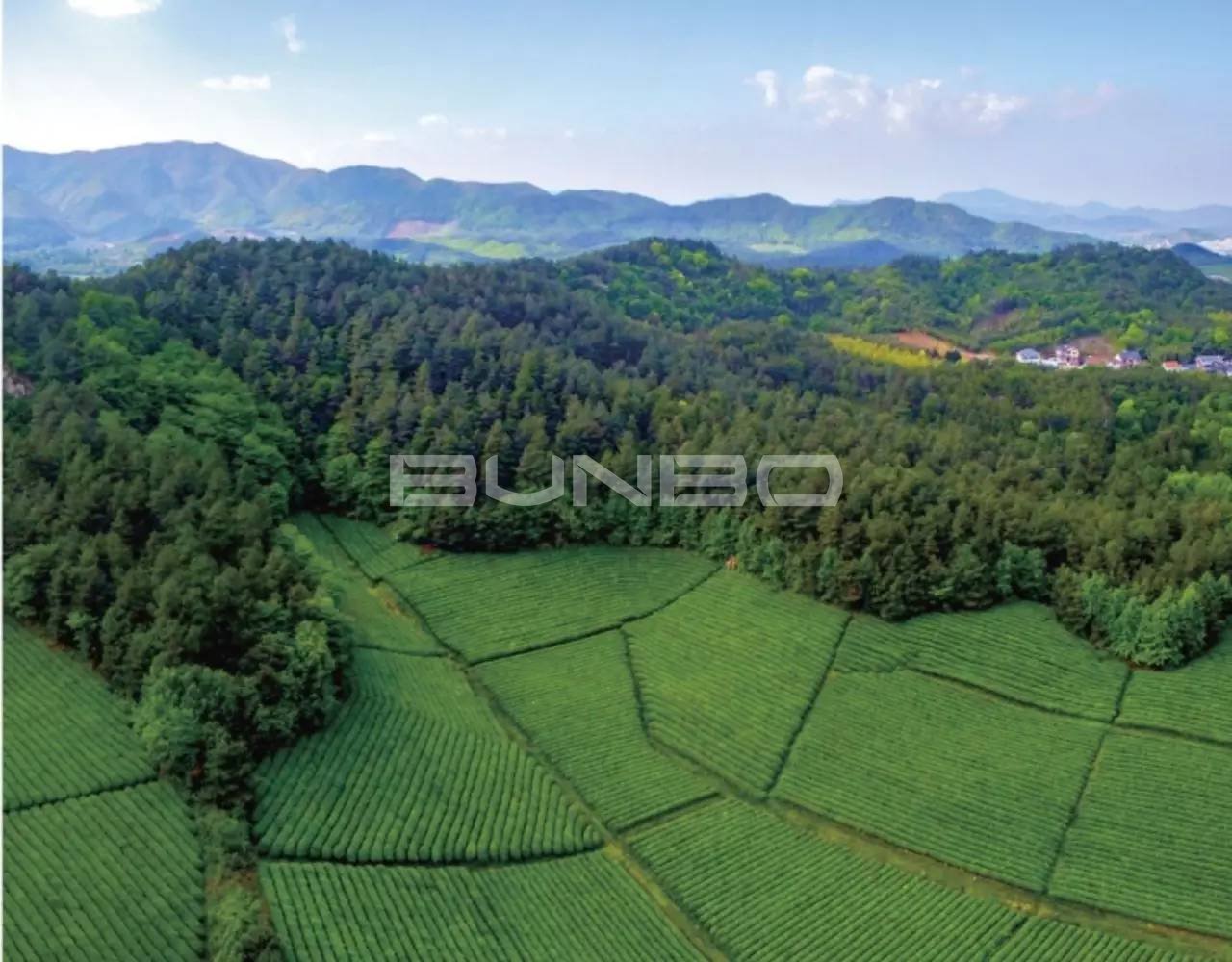 绿城宋卫平“理想小镇”样板农庄