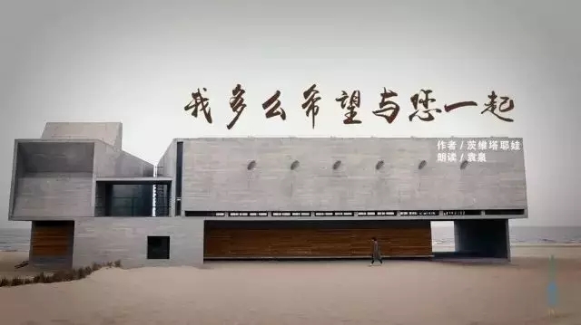 阿那亚：在孤独图书馆，当袁泉遇到茨维塔耶娃