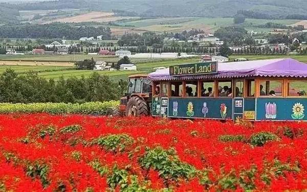 田园综合体的全球经验