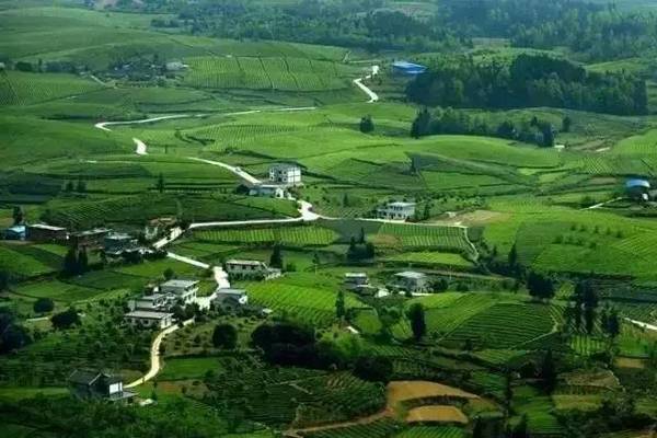 田园综合体的全球经验