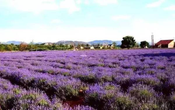 田园综合体的全球经验
