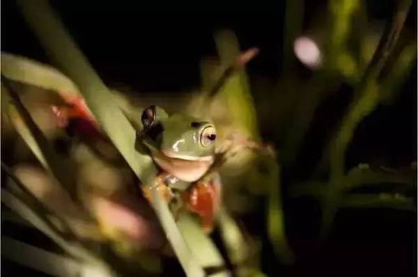 田园综合体的全球经验