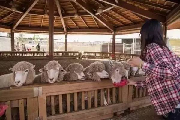 田园综合体的全球经验