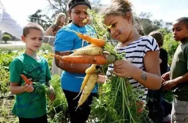 田园综合体的全球经验
