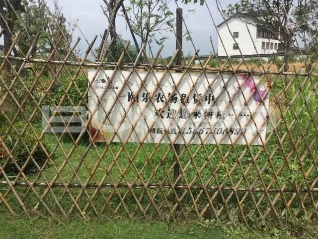 乌镇雅园,绿城学院式养老典范