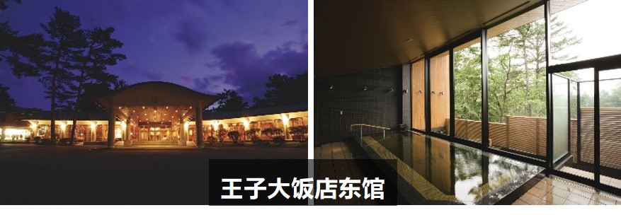 王子酒店集团五大酒店