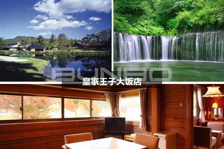 王子酒店集团五大酒店