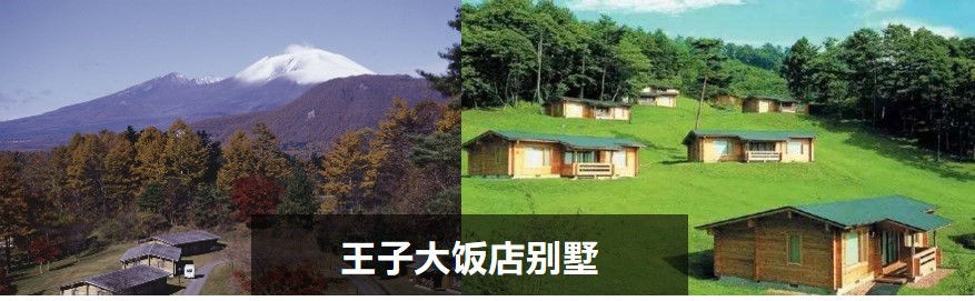 王子酒店集团五大酒店