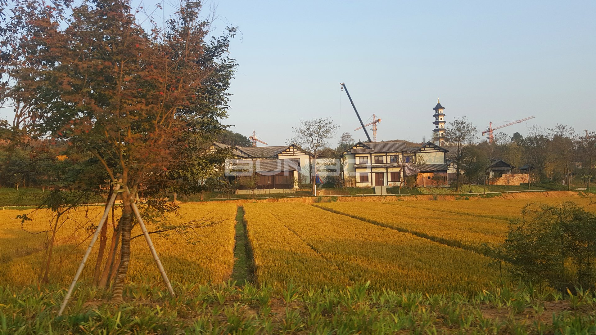 融创莫干溪谷实景照片:农耕博物园