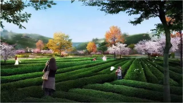杭州龙坞茶镇茶园效果图