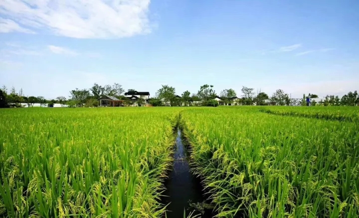成都多利农庄实景