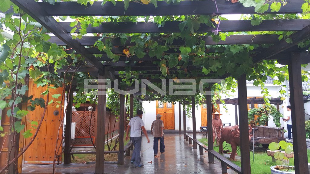 段园镇葡萄博物馆