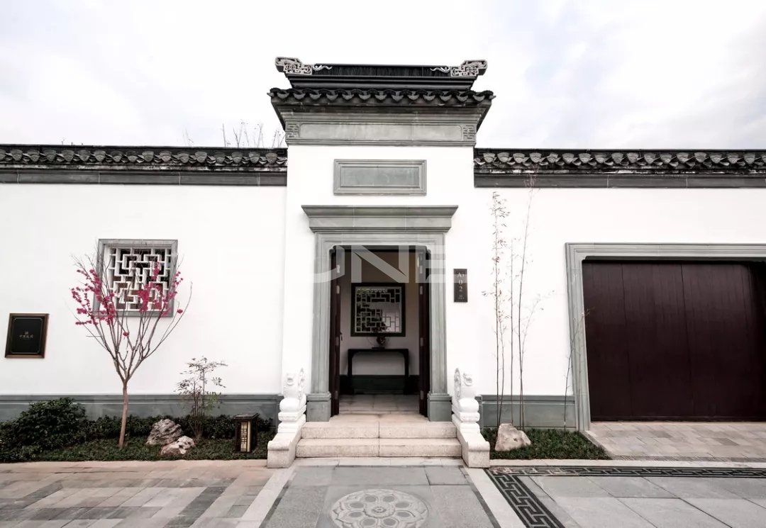 十里风荷实景图