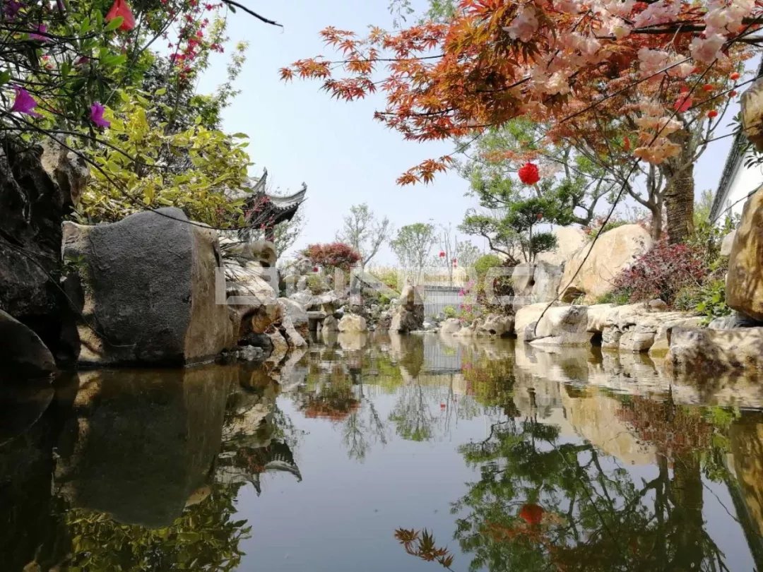 上饶灵山工匠小镇十里风荷实景图