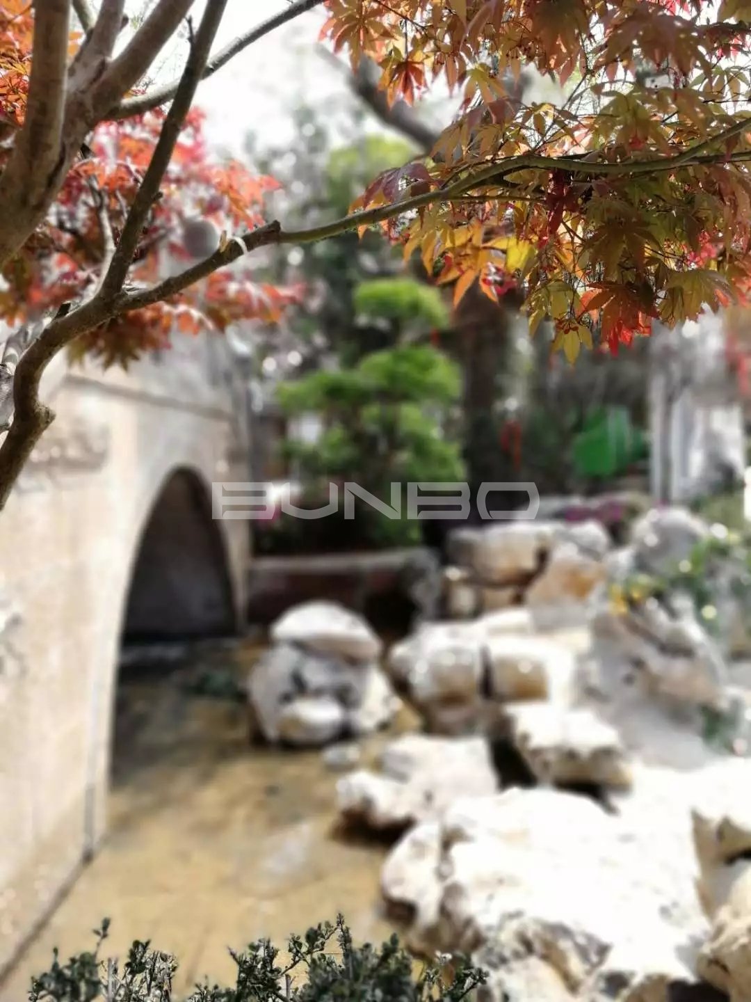 上饶灵山工匠小镇十里风荷实景图