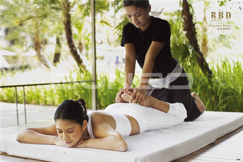 金地自在城区域概念白皮书《RBD中央休闲区》