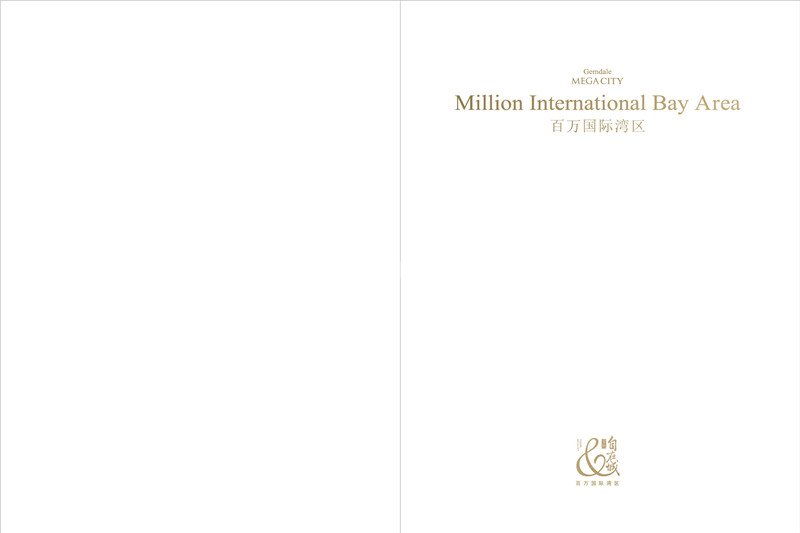 楼书《百万国际湾区》