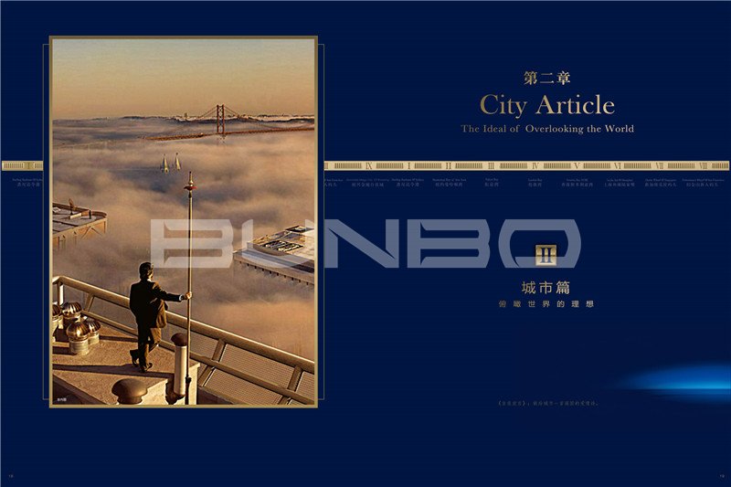 楼书《百万国际湾区》