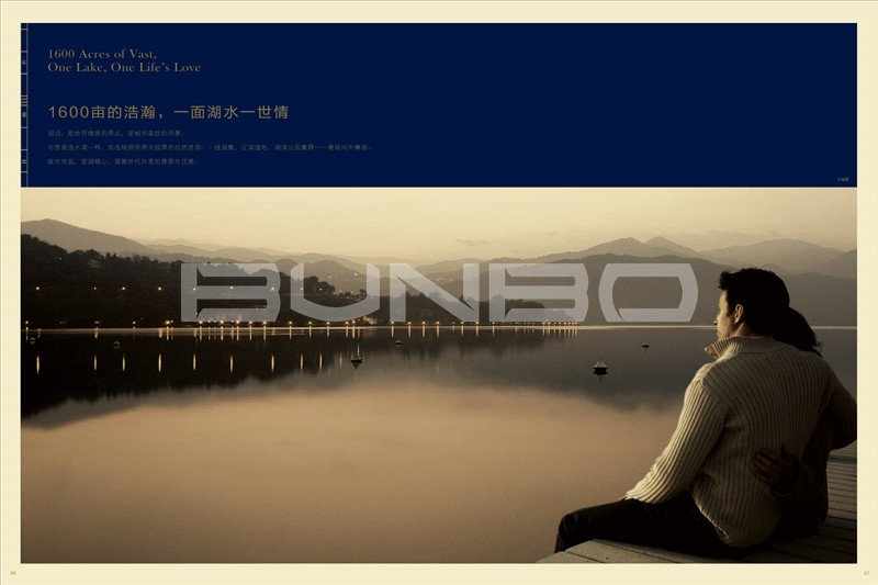 绍兴金地自在城楼书大盘楼书