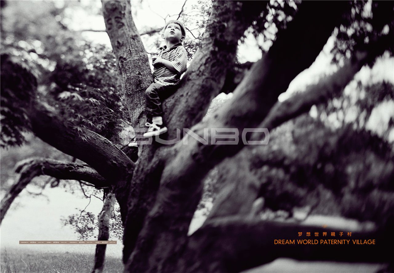 金地芳草地楼书（本埠广告）