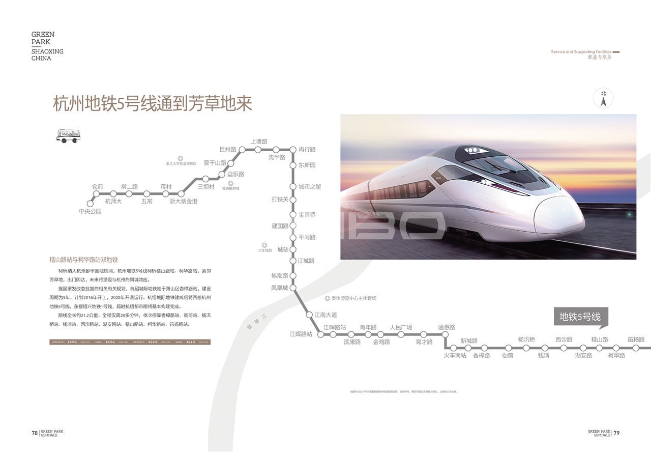 《放养的童年》