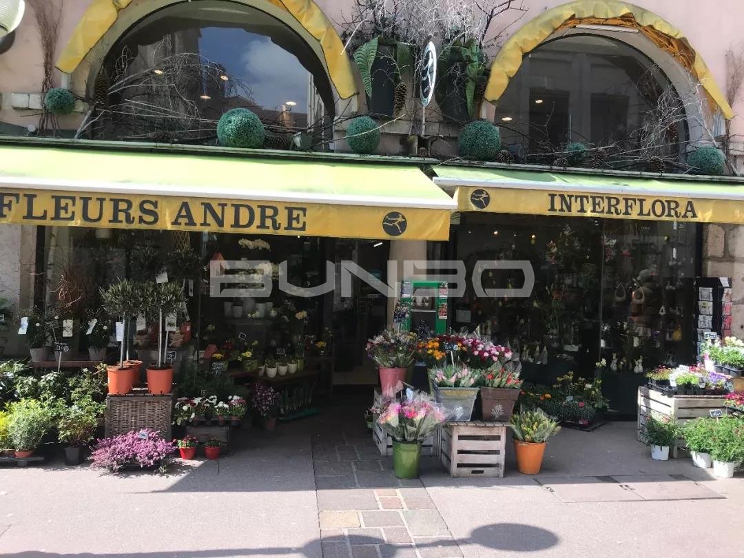 法国小镇安纳西