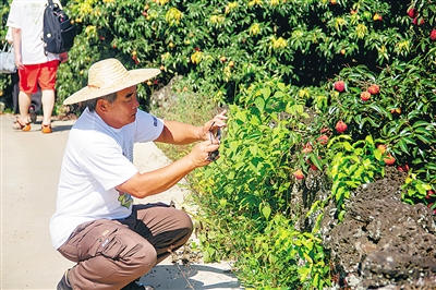 参加民宿峰会的台湾客人参观海口“花梨之家”民宿