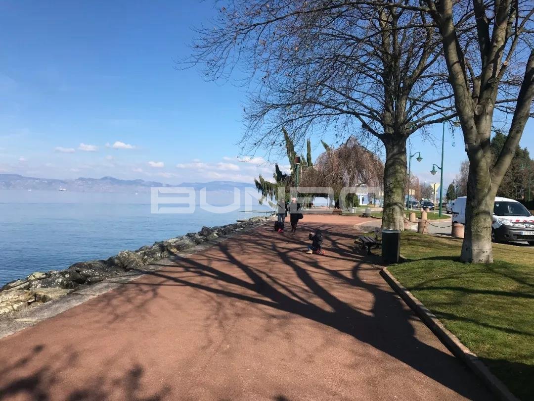 日内瓦湖，法国人则叫它雷蒙湖
