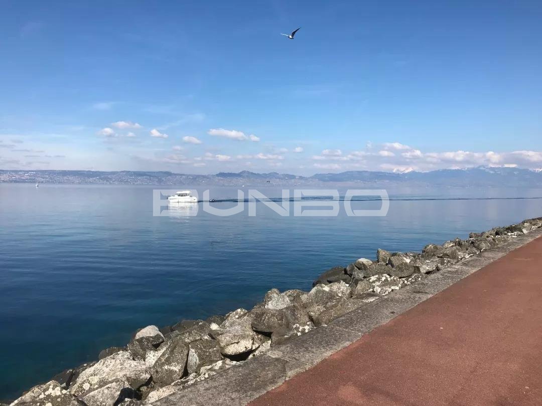 日内瓦湖，法国人则叫它雷蒙湖