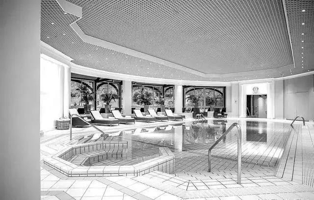 依云小镇水产业链:医疗温泉