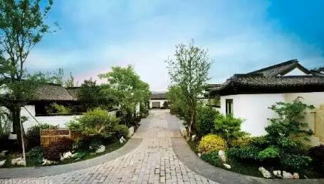 安吉桃花源实景图