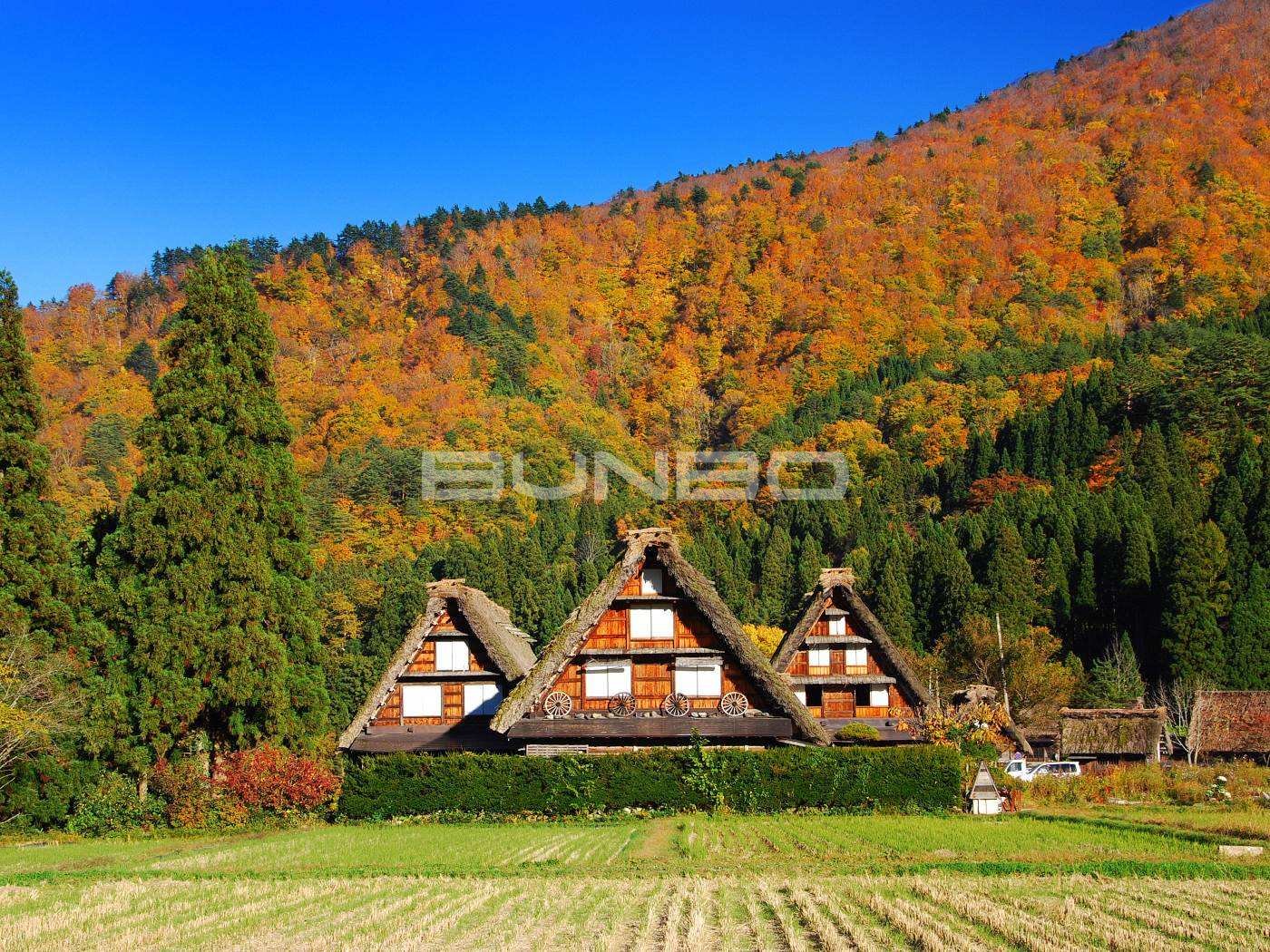 日本岐阜县白川乡合掌村