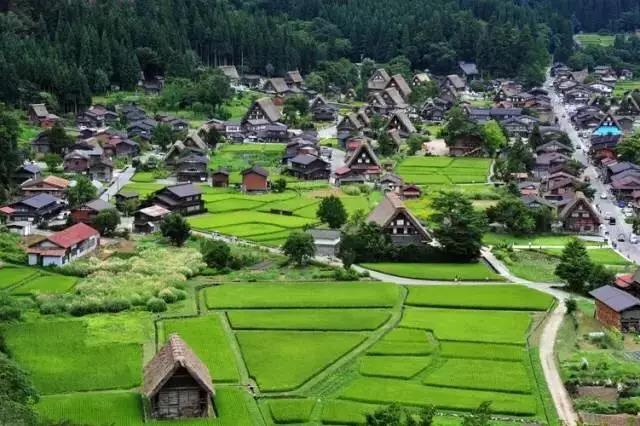 日本岐阜县白川乡合掌村