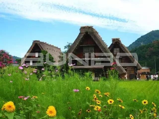 日本岐阜县白川乡合掌村