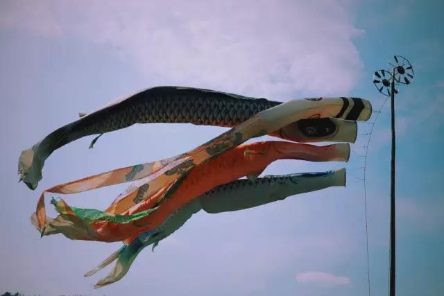 日本岐阜县白川乡合掌村