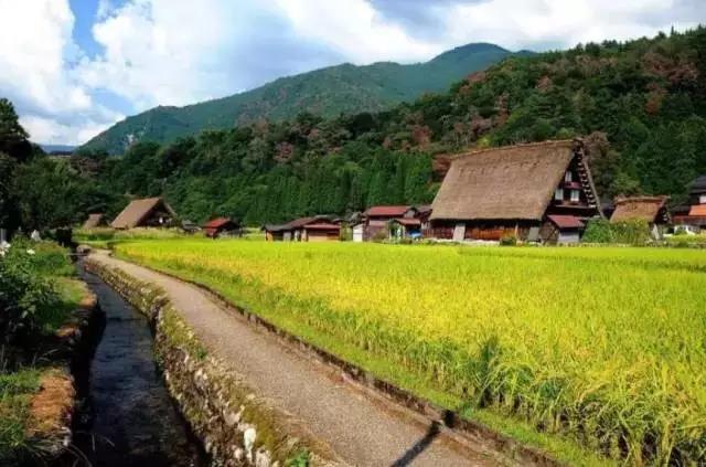 日本岐阜县白川乡合掌村