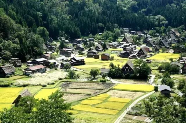 日本岐阜县白川乡合掌村