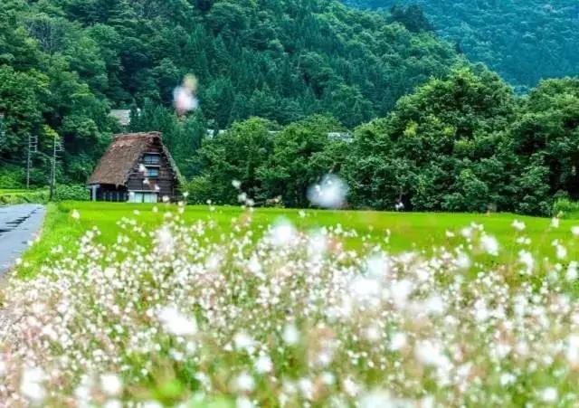 日本岐阜县白川乡合掌村