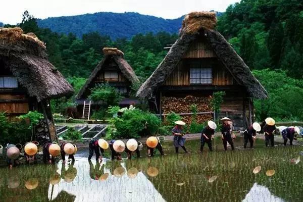 美丽乡村日本白川乡合掌村