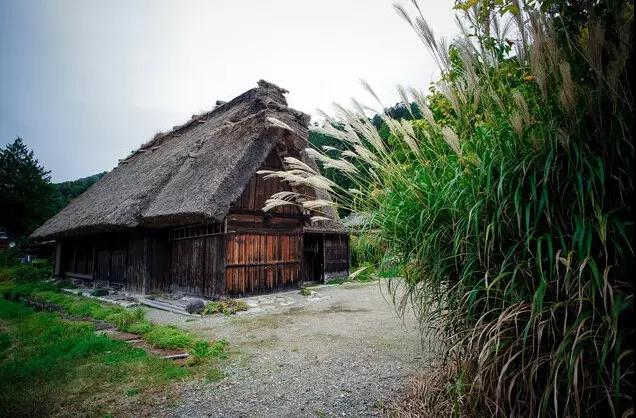 美丽乡村日本白川乡合掌村