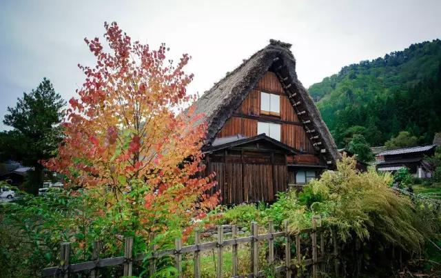 美丽乡村日本白川乡合掌村