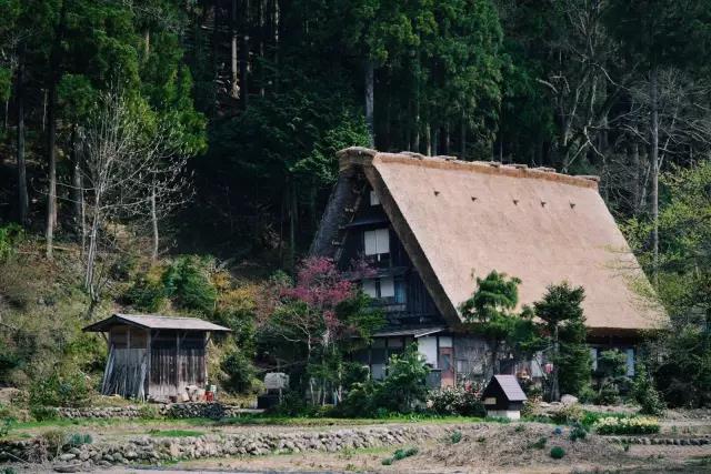 美丽乡村日本白川乡合掌村