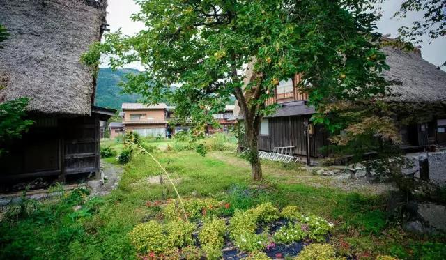 美丽乡村日本白川乡合掌村