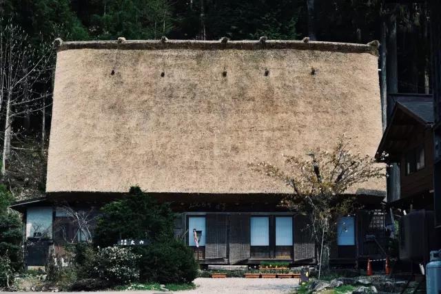 美丽乡村日本白川乡合掌村