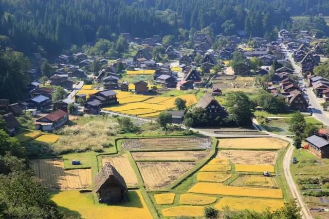 美丽乡村日本白川乡合掌村