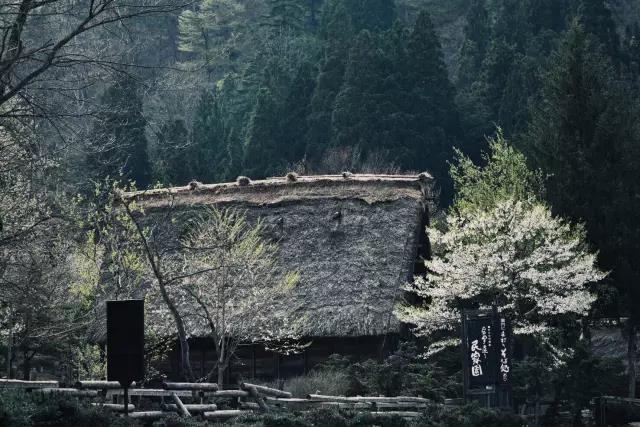 美丽乡村日本白川乡合掌村