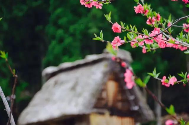 美丽乡村日本白川乡合掌村