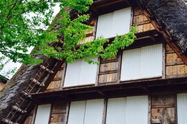 美丽乡村日本白川乡合掌村